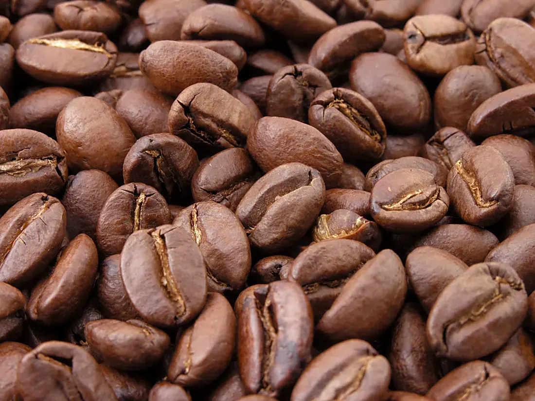 Freshly roasted coffee beans